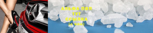 гидропоника Иннополис
