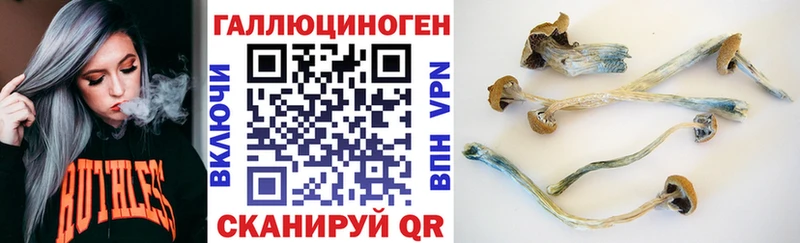 Псилоцибиновые грибы Magic Shrooms  Купить закладки  Кремёнки 